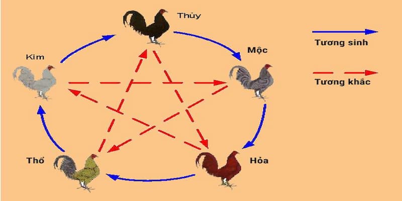 Xem đá gà màu nào mạnh theo mệnh kim